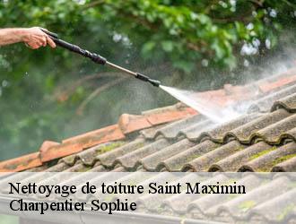 Nettoyage de toiture  saint-maximin-30700 Charpentier Sophie