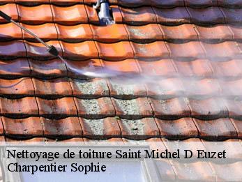 Nettoyage de toiture