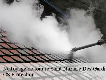 Nettoyage de toiture 30610