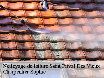 Nettoyage de toiture