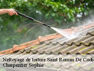 Nettoyage de toiture  saint-roman-de-codieres-30440 Charpentier Sophie