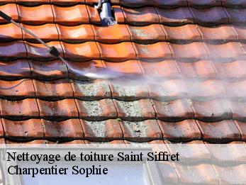 Nettoyage de toiture