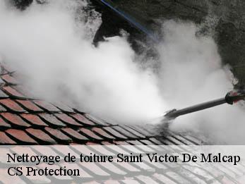 Nettoyage de toiture 30500