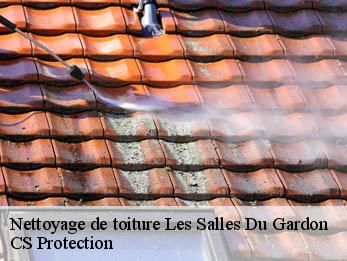 Nettoyage de toiture