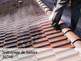 Nettoyage de toiture