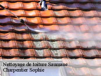 Nettoyage de toiture