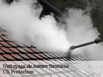 Nettoyage de toiture 30125