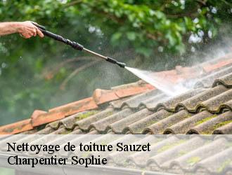 Nettoyage de toiture  sauzet-30190 Charpentier Sophie