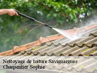 Nettoyage de toiture  savignargues-30350 Charpentier Sophie