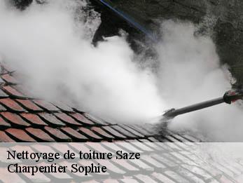Nettoyage de toiture  30650