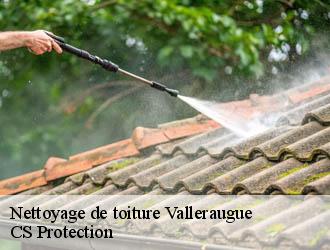 Nettoyage de toiture valleraugue-30570 CS Protection