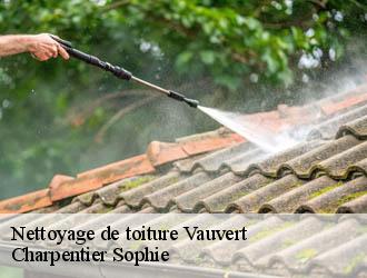 Nettoyage de toiture  vauvert-30600 Charpentier Sophie