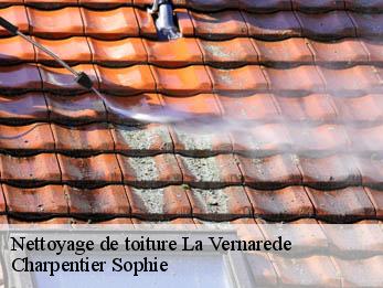 Nettoyage de toiture