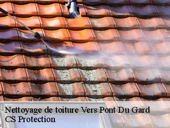 Nettoyage de toiture