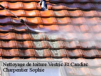 Nettoyage de toiture