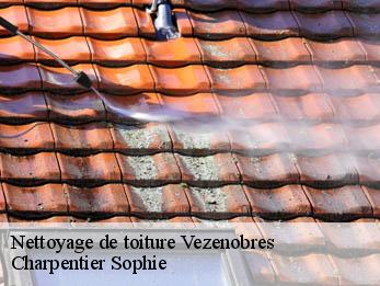 Nettoyage de toiture