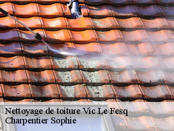 Nettoyage de toiture