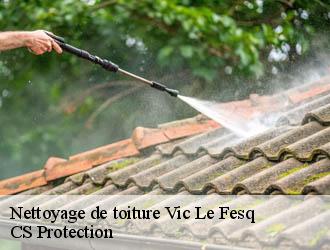 Nettoyage de toiture  vic-le-fesq-30260 CS Protection