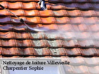 Nettoyage de toiture