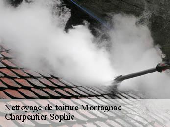 Nettoyage de toiture  30350