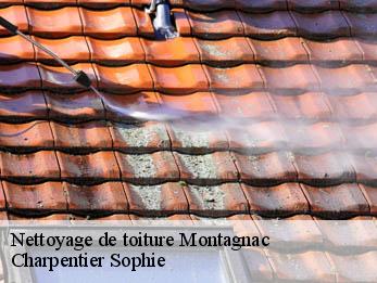 Nettoyage de toiture