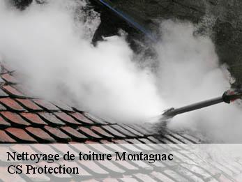 Nettoyage de toiture 30350