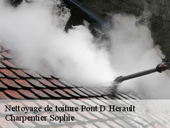 Nettoyage de toiture  30570