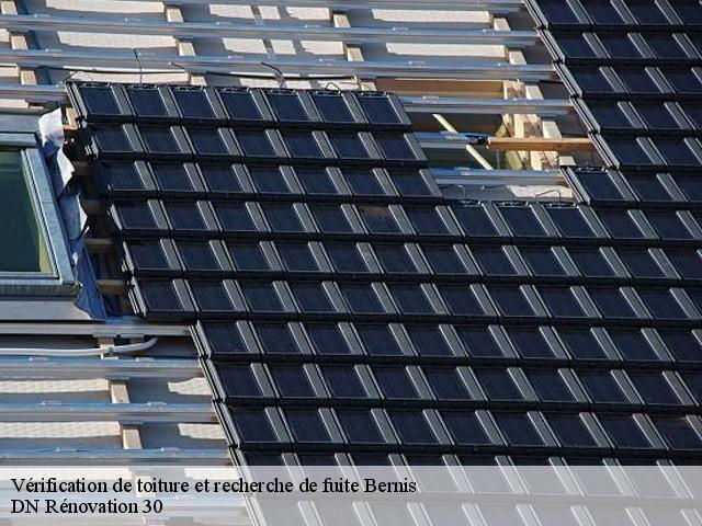 Vérification de toiture et recherche de fuite 30620