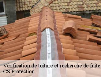 Vérification de toiture et recherche de fuite bez-et-esparon-30120 CS Protection