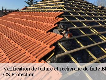 Vérification de toiture et recherche de fuite