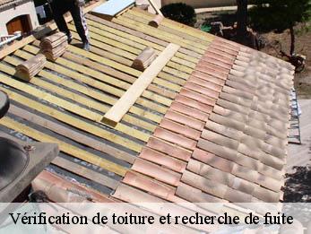 Vérification de toiture et recherche de fuite