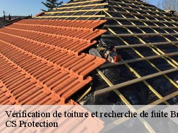 Vérification de toiture et recherche de fuite