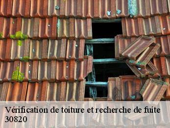 Vérification de toiture et recherche de fuite