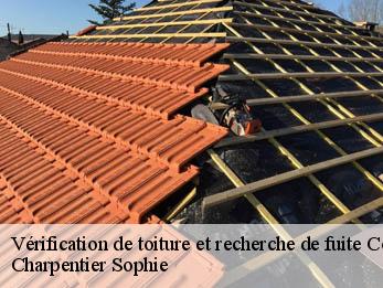 Vérification de toiture et recherche de fuite