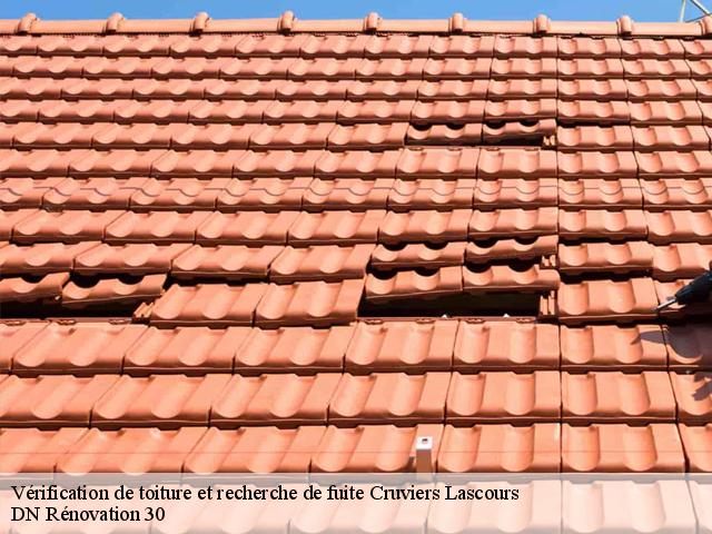 Vérification de toiture et recherche de fuite  cruviers-lascours-30360 DN Rénovation 30