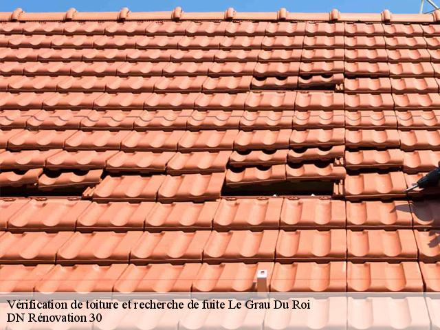 Vérification de toiture et recherche de fuite  le-grau-du-roi-30240 DN Rénovation 30