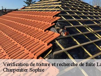 Vérification de toiture et recherche de fuite