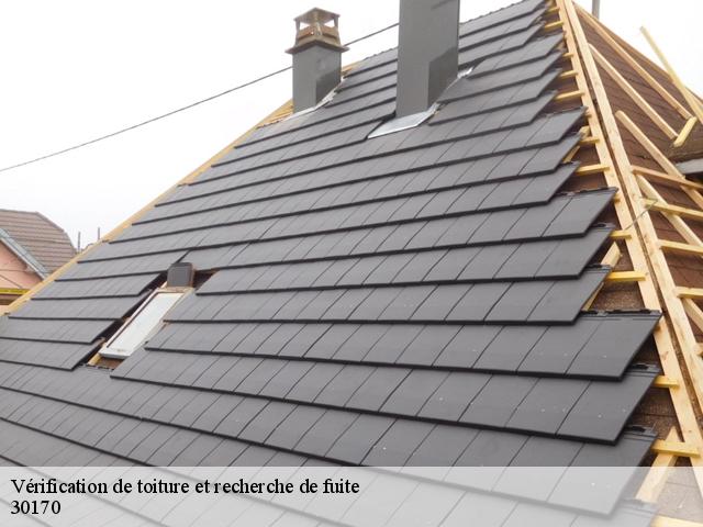 Vérification de toiture et recherche de fuite 30170
