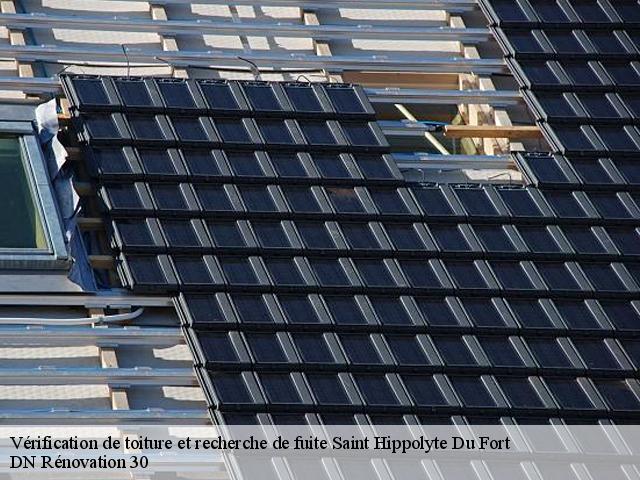 Vérification de toiture et recherche de fuite 30170