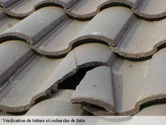 Vérification de toiture et recherche de fuite 30170