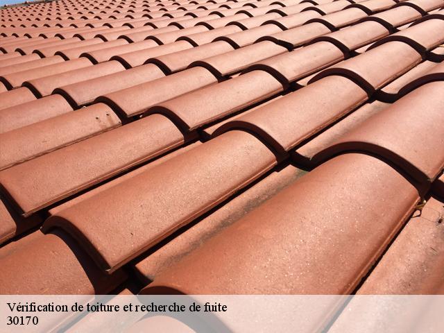 Vérification de toiture et recherche de fuite 30170