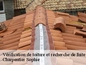 Vérification de toiture et recherche de fuite  saint-laurent-d-aigouze-30220 Charpentier Sophie