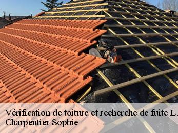 Vérification de toiture et recherche de fuite