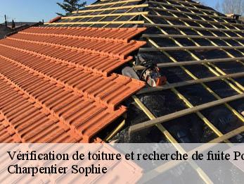 Vérification de toiture et recherche de fuite