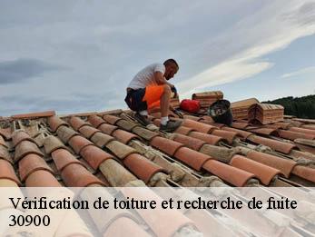 Vérification de toiture et recherche de fuite 30900