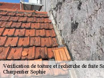 Vérification de toiture et recherche de fuite 30900