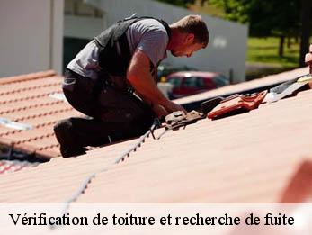 Vérification de toiture et recherche de fuite 30900