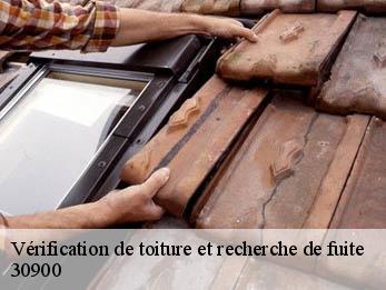 Vérification de toiture et recherche de fuite 30900