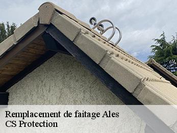 Remplacement de faitage  30100
