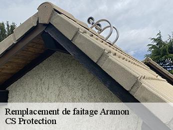 Remplacement de faitage 30390